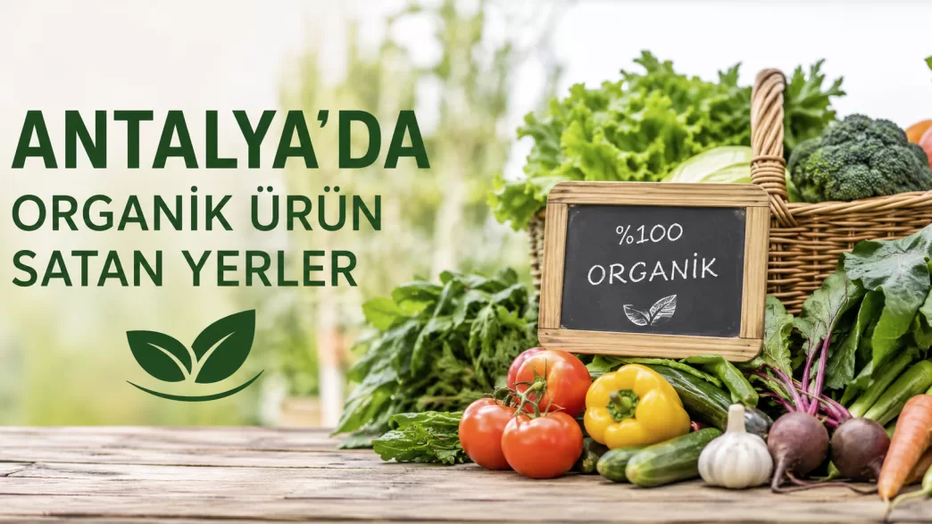 antalya organik ürün satan yerler