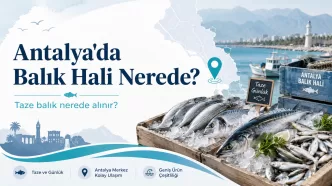 antalya balık hali