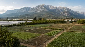 antalya tarım arazileri miras