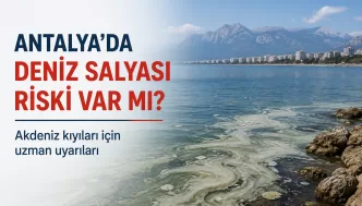antalya deniz salyası riski
