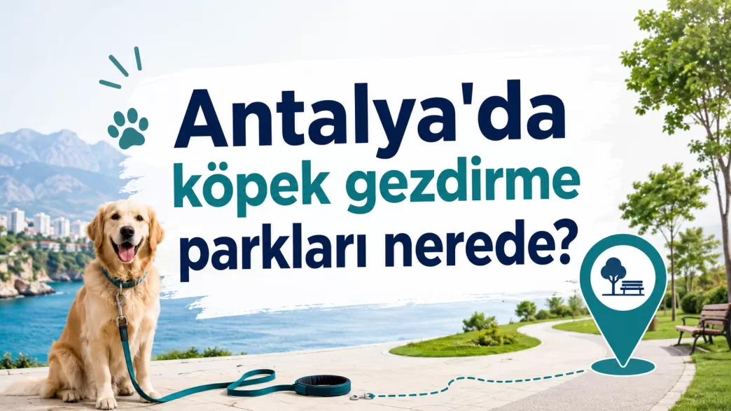 antalya köpek gezdirme parkları
