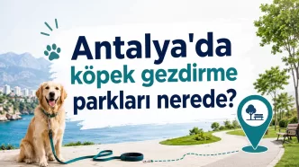 antalya köpek gezdirme parkları