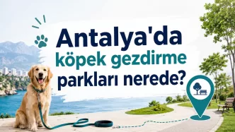 antalya köpek gezdirme parkları