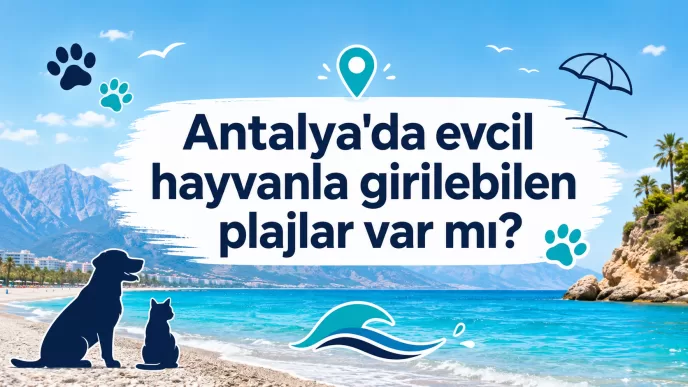 antalya evcil hayvanla girilebilen plajlar