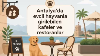 antalya evcil hayvan dostu kafeler