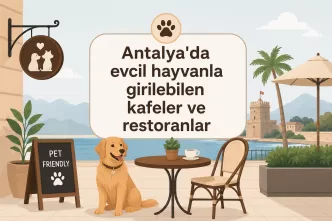 antalya evcil hayvan dostu kafeler