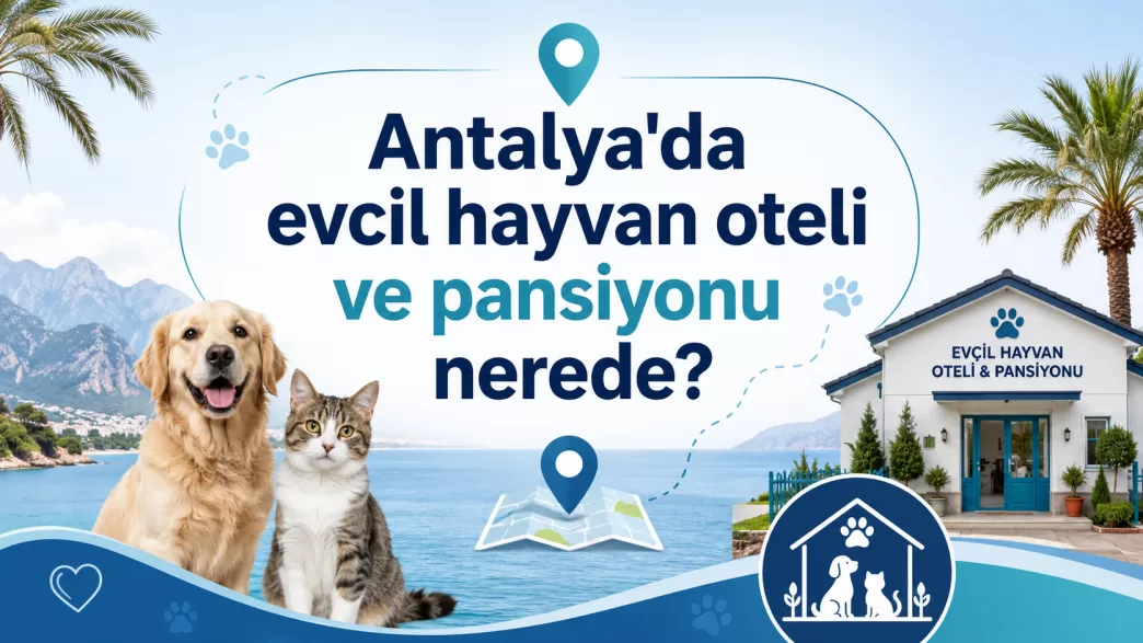 antalya evcil hayvan oteli