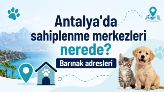 antalya hayvan sahiplenme merkezleri