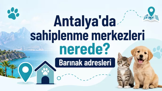 antalya hayvan sahiplenme merkezleri
