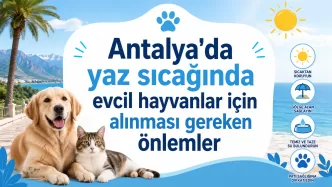 antalya'da yaz sıcağında evcil hayvanlar