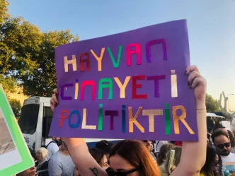 aksu belediyesi hayvan barınağı, aksu ölü köpekler, aksu hayvan barınağında ölü köpekler
