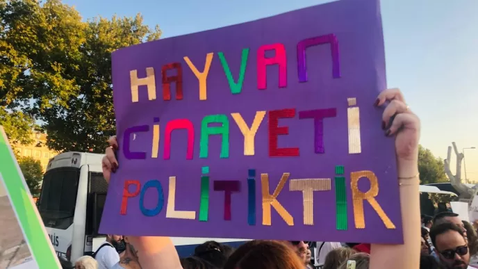 aksu belediyesi hayvan barınağı, aksu ölü köpekler, aksu hayvan barınağında ölü köpekler