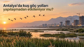 antalya kuş göç yolları