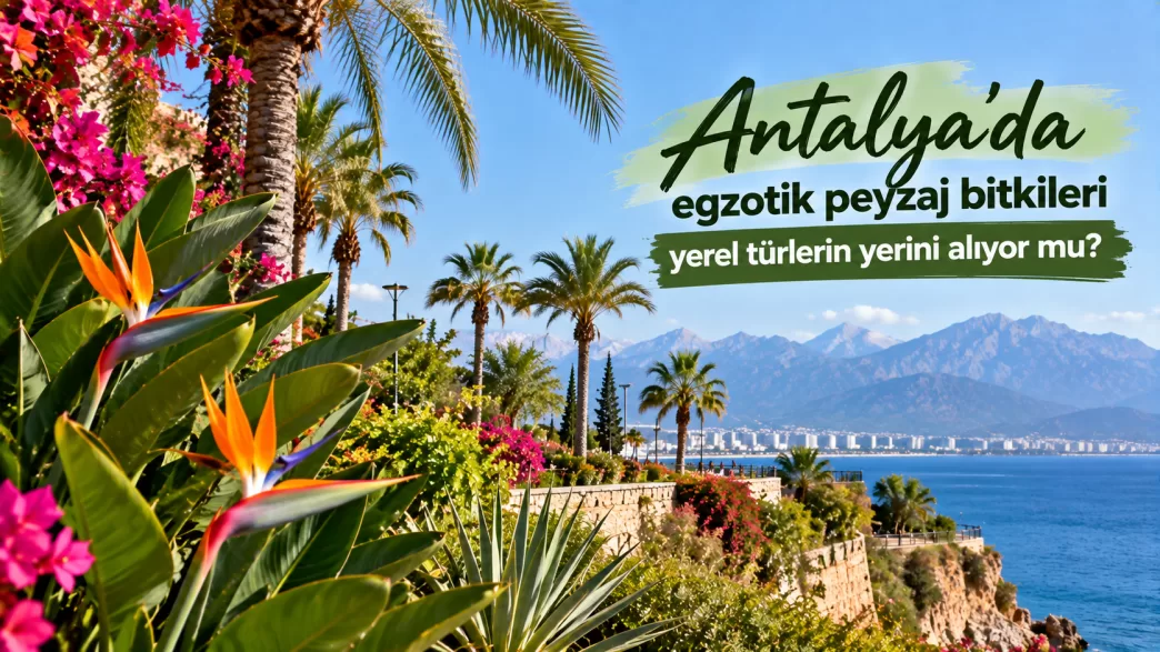 antalya egzotik peyzaj bitkileri