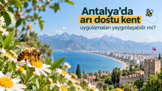 antalya arı dostu kent