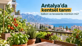 antalya kentsel tarım