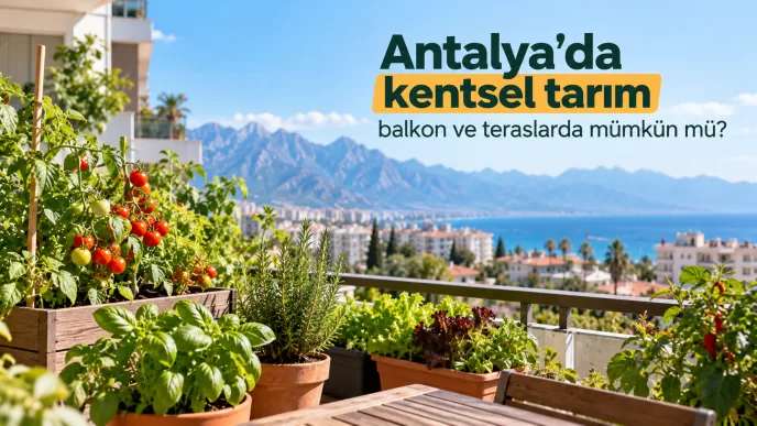 antalya kentsel tarım