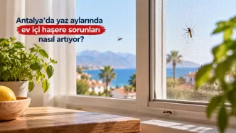 antalya ev içi haşere sorunu