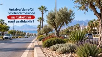antalya refüj bitkilendirmesi