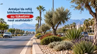 antalya refüj bitkilendirmesi