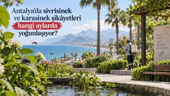 antalya sivrisinek ve karasinek şikâyetleri