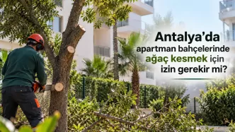 antalya apartman bahçesinde ağaç kesme izni