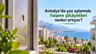 antalya yaz aylarında haşere şikâyetleri