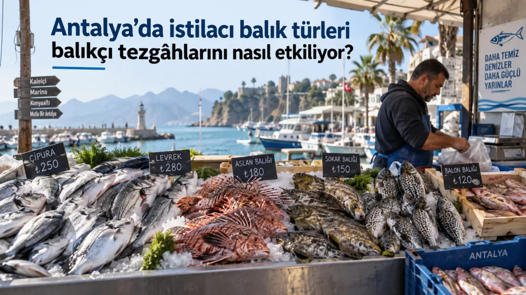 antalya istilacı balık türleri balıkçı tezgâhları