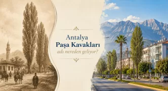 antalya paşa kavakları