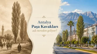 antalya paşa kavakları