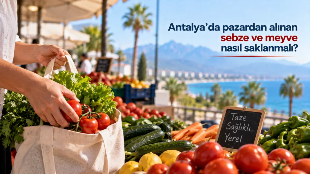 antalya sebze meyve saklama
