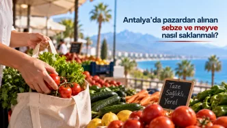 antalya sebze meyve saklama