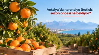antalya narenciye üreticisi 2026