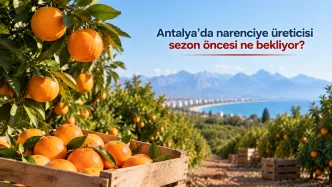 antalya narenciye üreticisi 2026