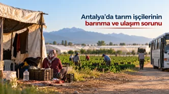 antalya tarım işçilerinin barınma ve ulaşım sorunu
