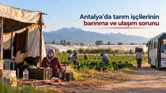 antalya tarım işçilerinin barınma ve ulaşım sorunu