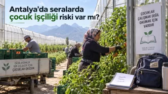 antalya seralarda çocuk işçiliği