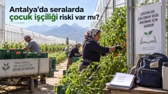 antalya seralarda çocuk işçiliği
