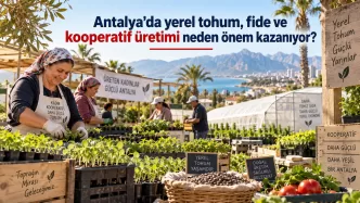 antalya yerel tohum fide üretimi