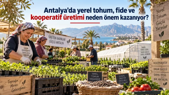 antalya yerel tohum fide üretimi