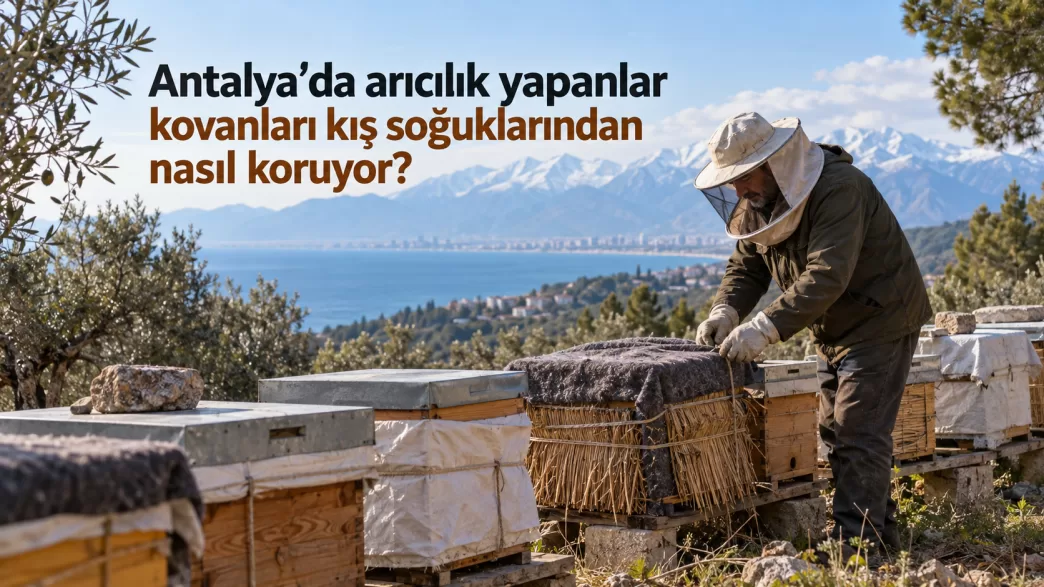 antalya arıcılık kış hazırlığı