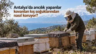 antalya arıcılık kış hazırlığı